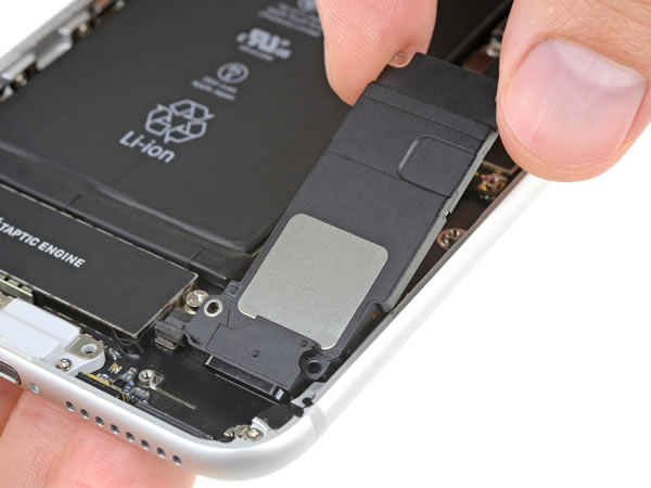Thay loa iPhone 8